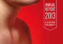 Annual Report 2013 by the Ombudsman for Equality (PDF)